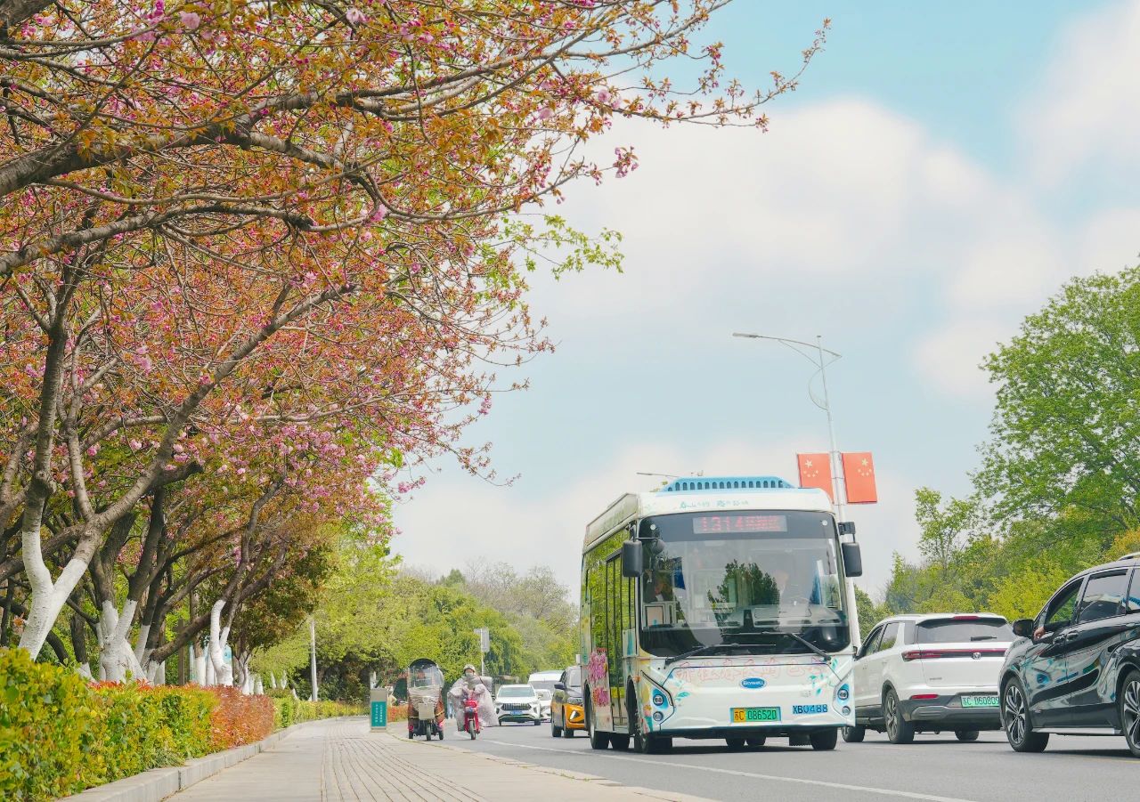 清明踏春行，徐州公交精心護(hù)航市民出行